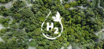 €700 million boost for Dutch green hydrogen projects