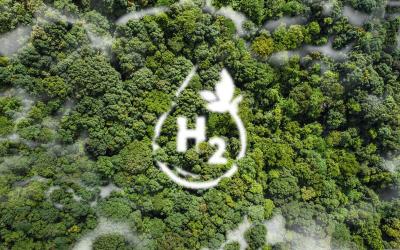 €700 million boost for Dutch green hydrogen projects