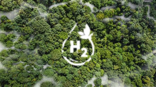 €700 million boost for Dutch green hydrogen projects
