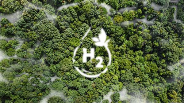 €700 million boost for Dutch green hydrogen projects