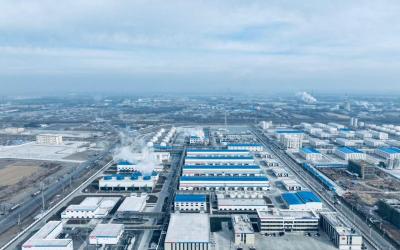 CMB.TECH invests in Chinese green ammonia supply chain