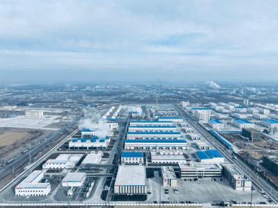 CMB.TECH invests in Chinese green ammonia supply chain