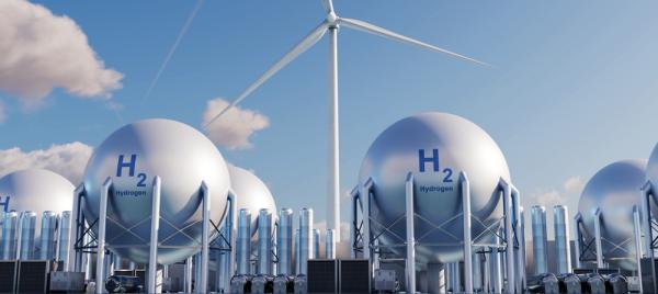 Growing attention for liquid hydrogen at the WHS,  with a joint LH2  action statement and a new partnership between Ecolog and Kawasaki  