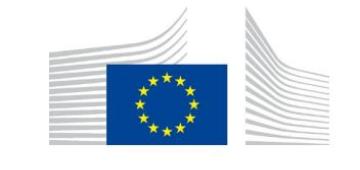 Auctions-as-a-service | EU Hydrogen Bank set to host national green H2 tenders on behalf of member states