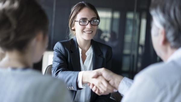 Company consulting by students in BE and NL