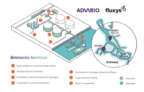 Fluxys will develop a green ammonia import terminal at the Port of Antwerp-Bruges