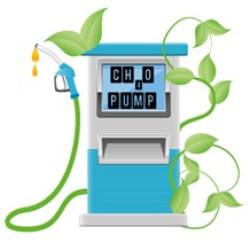 Mobile Methanol Utilisation (VIL)